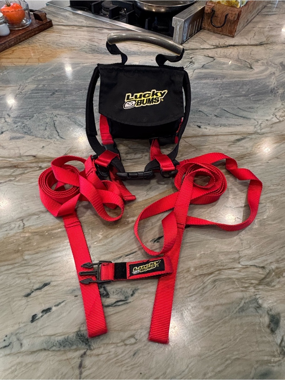 Lucky Bums Kids Ski Harness Trainer